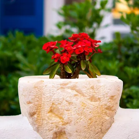 Quartano Paros Apartmán Nausa