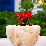 Quartano Paros Appartement Naousa