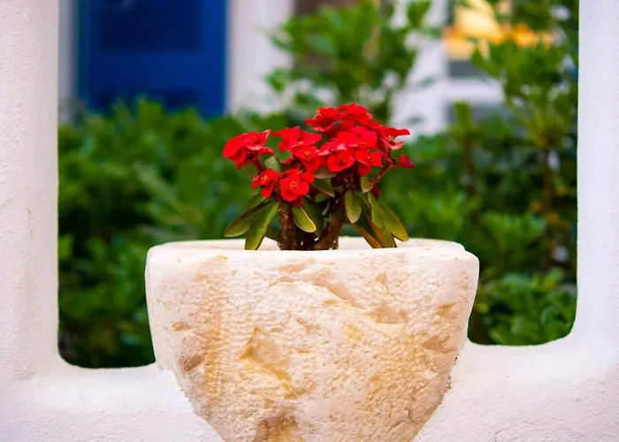 Quartano Paros Lejlighed Naousa